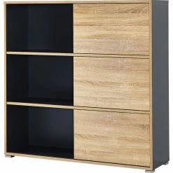 Germania Schiebetürregal Slide In Anthrazit / Sonoma Eiche Nachbildung Klein -Vicco Geschäft 1876412002 prod 003