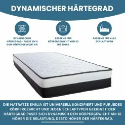 Arensberger EMILIA 7-Zonen Taschenfederkern Matratze, 120 X 200 Cm, Höhe 23cm 8 Arensberger EMILIA 7-Zonen Taschenfederkern Matratze, 120 X 200 Cm, Höhe 23cm -Vicco Geschäft 8600153300 3027 prod 004