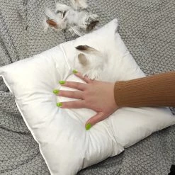 Wometo 4er Set Federkissen Home, 40x60 Cm - Kissenfüllung Mit Bezug Aus Baumwolle Und Füllung Aus 100% Federn -Vicco Geschäft 8600365200 2377 prod 003