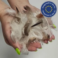 Wometo Kopfkissen Baumwolle-Bezug Mit 100% Federn, Serie: Home - Mit Federfüllung 9 Wometo Kopfkissen Baumwolle-Bezug Mit 100% Federn, Serie: Home - Mit Federfüllung -Vicco Geschäft 8600365200 2400 prod 004