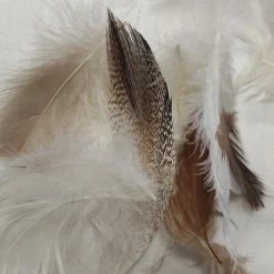 Wometo Federkissen Premium - Kopfkissen Aus Baumwolle Mit Füllung Aus 90% Federn Und 10% Daunen -Vicco Geschäft 8600365200 2478 prod 005